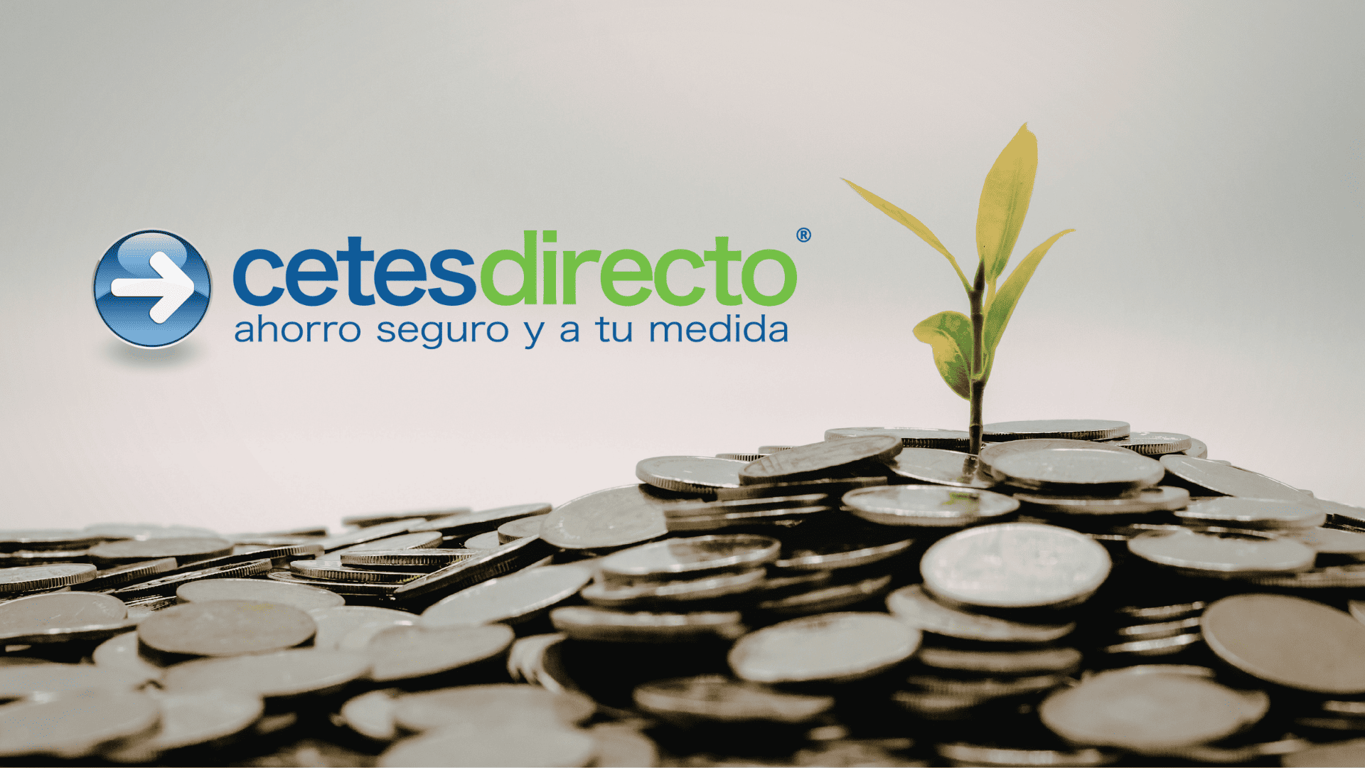 CETES vs inversiones con pago mensual: cuál conviene
